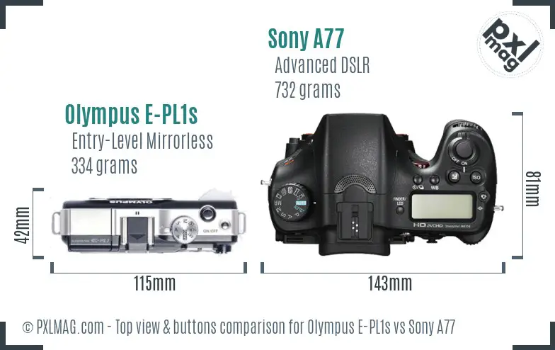 Olympus E-PL1s vs Sony A77 top view buttons comparison