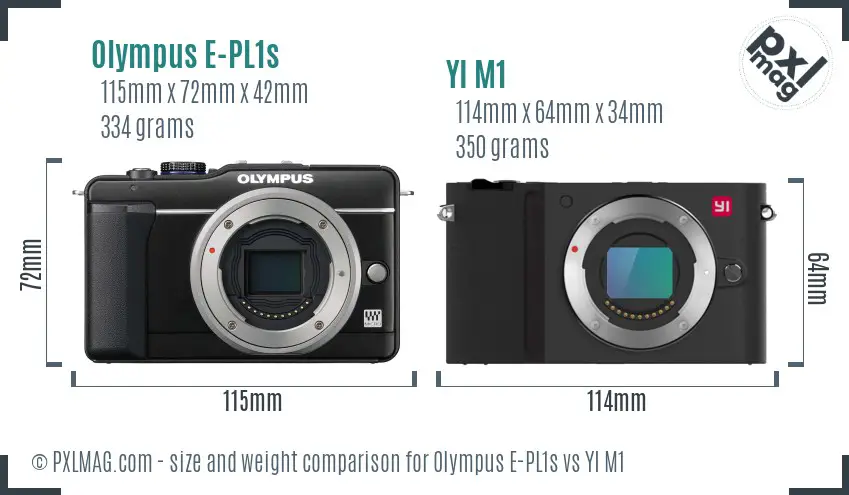Olympus E-PL1s vs YI M1 size comparison