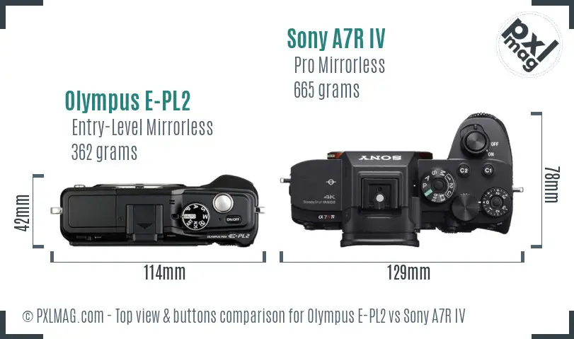 Olympus E-PL2 vs Sony A7R IV top view buttons comparison