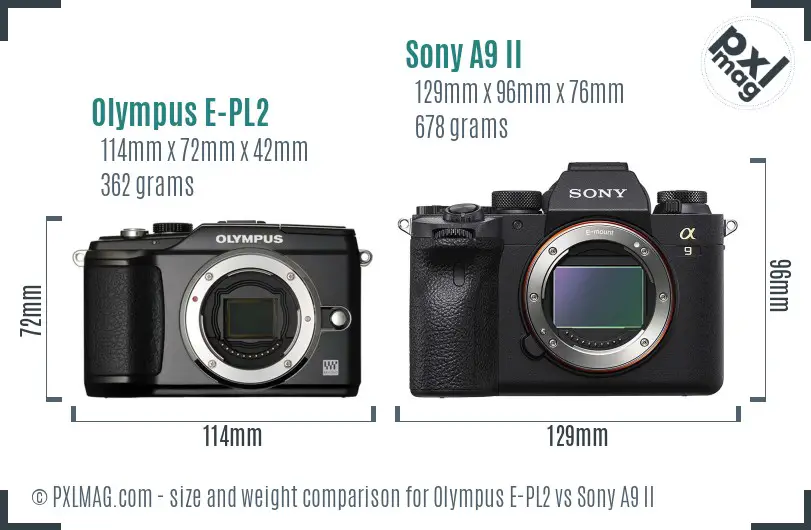 Olympus E-PL2 vs Sony A9 II size comparison