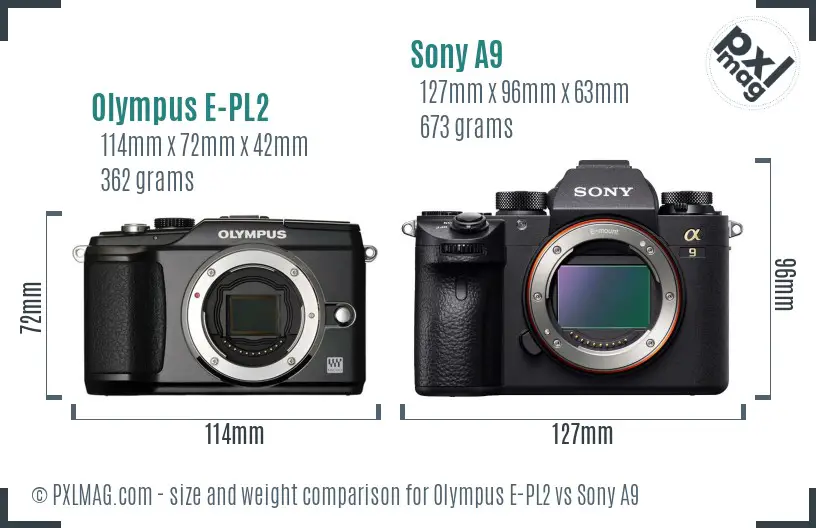 Olympus E-PL2 vs Sony A9 size comparison