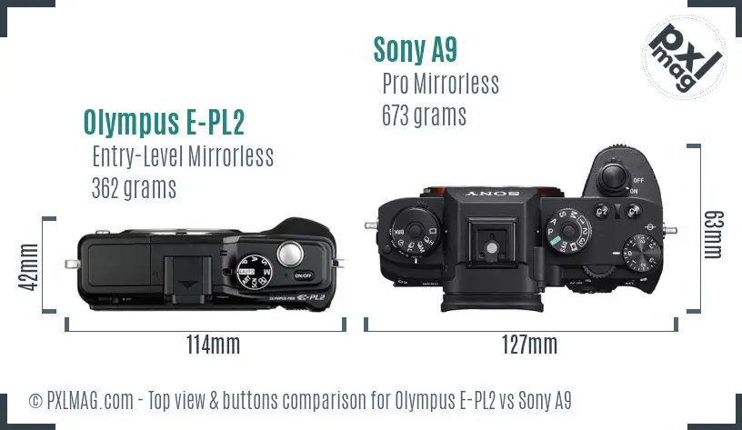 Olympus E-PL2 vs Sony A9 top view buttons comparison