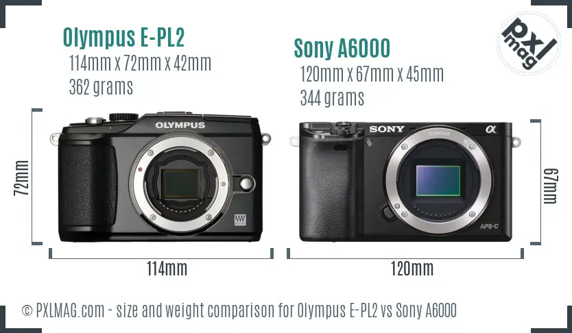 Olympus E-PL2 vs Sony A6000 size comparison
