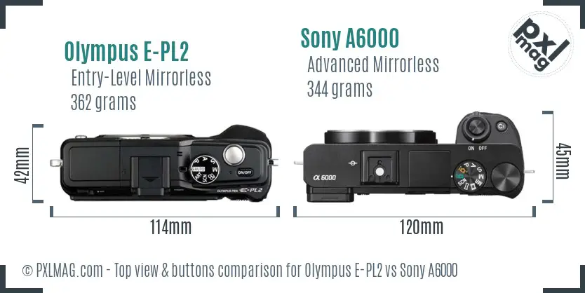 Olympus E-PL2 vs Sony A6000 top view buttons comparison