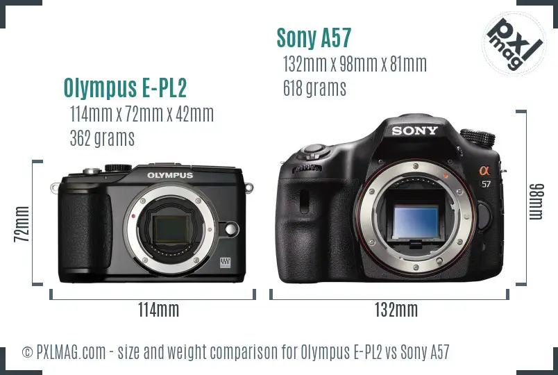 Olympus E-PL2 vs Sony A57 size comparison