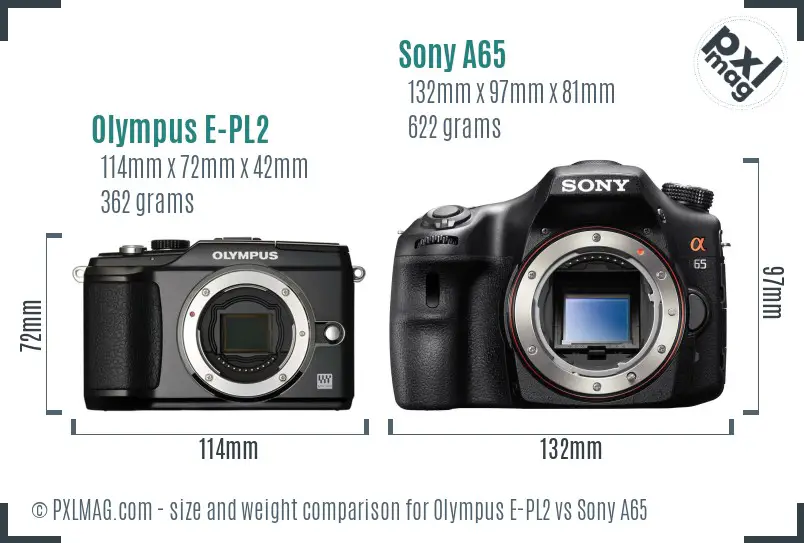Olympus E-PL2 vs Sony A65 size comparison