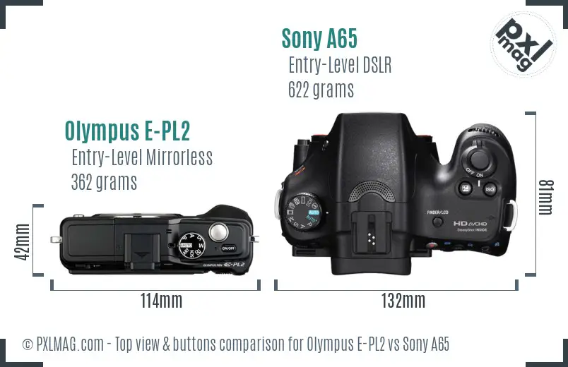 Olympus E-PL2 vs Sony A65 top view buttons comparison