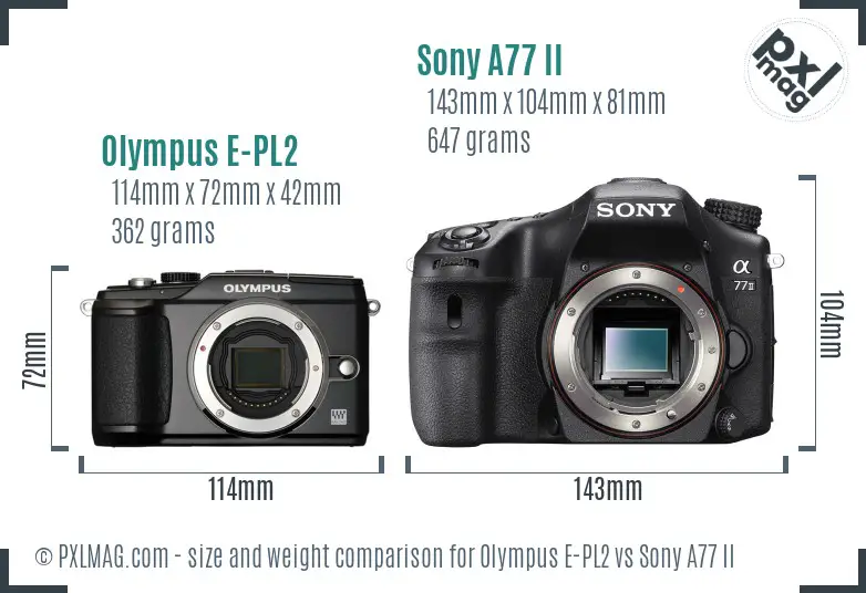 Olympus E-PL2 vs Sony A77 II size comparison