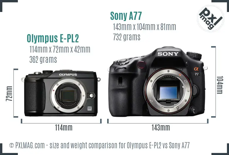 Olympus E-PL2 vs Sony A77 size comparison