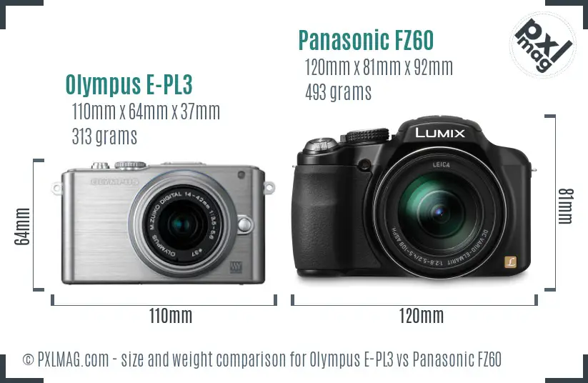 Olympus E-PL3 vs Panasonic FZ60 size comparison