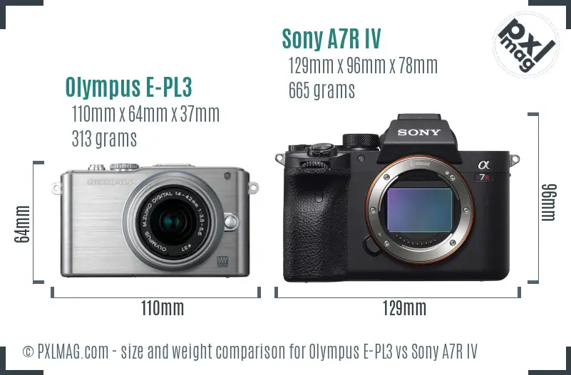 Olympus E-PL3 vs Sony A7R IV size comparison