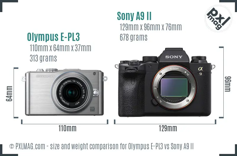 Olympus E-PL3 vs Sony A9 II size comparison