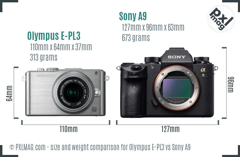Olympus E-PL3 vs Sony A9 size comparison
