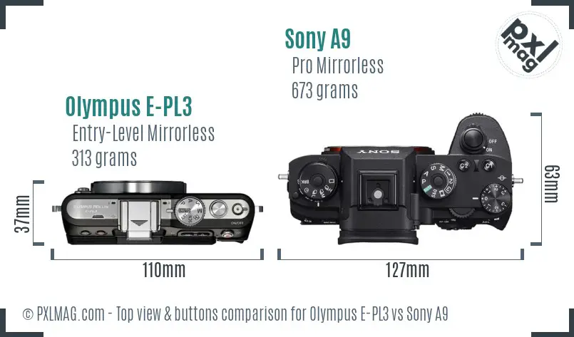 Olympus E-PL3 vs Sony A9 top view buttons comparison