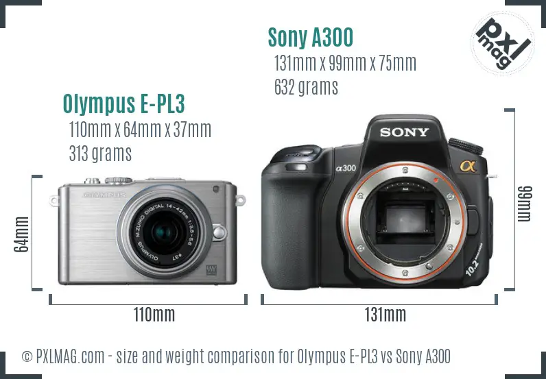 Olympus E-PL3 vs Sony A300 size comparison