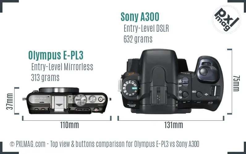 Olympus E-PL3 vs Sony A300 top view buttons comparison