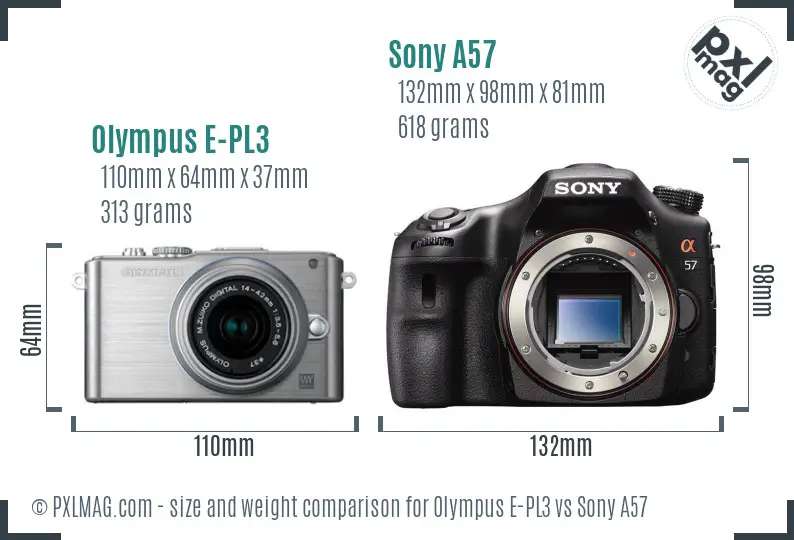 Olympus E-PL3 vs Sony A57 size comparison