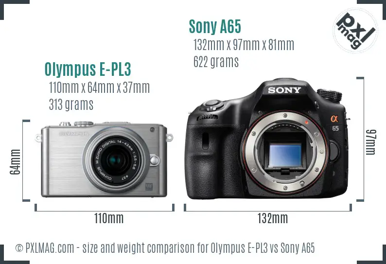 Olympus E-PL3 vs Sony A65 size comparison