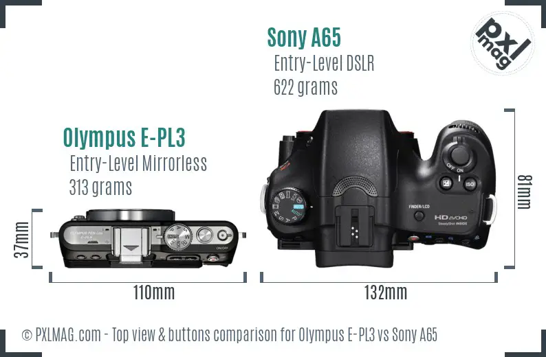 Olympus E-PL3 vs Sony A65 top view buttons comparison