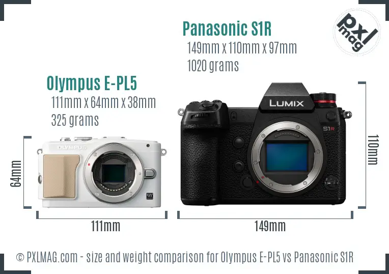 Olympus E-PL5 vs Panasonic S1R size comparison