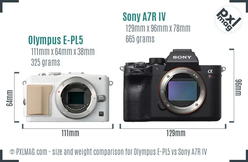 Olympus E-PL5 vs Sony A7R IV size comparison