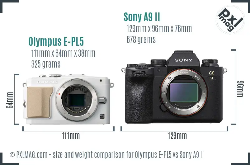 Olympus E-PL5 vs Sony A9 II size comparison