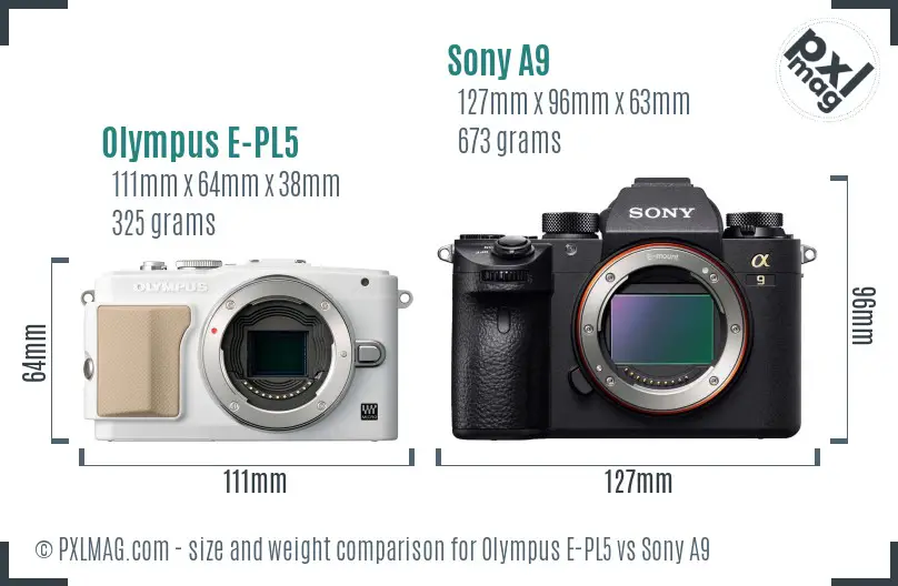 Olympus E-PL5 vs Sony A9 size comparison