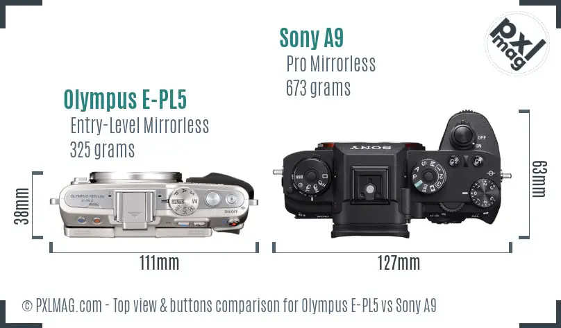 Olympus E-PL5 vs Sony A9 top view buttons comparison