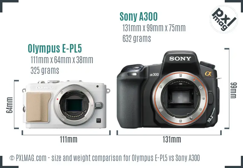 Olympus E-PL5 vs Sony A300 size comparison