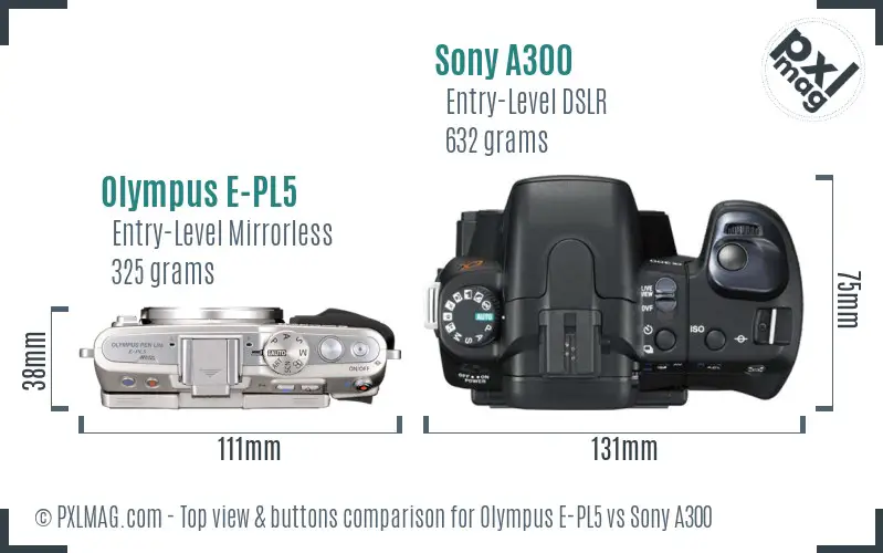 Olympus E-PL5 vs Sony A300 top view buttons comparison