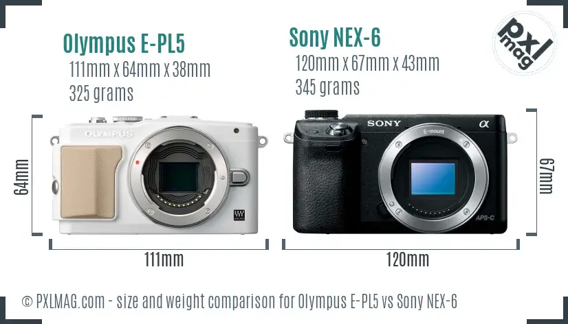 Olympus E-PL5 vs Sony NEX-6 size comparison