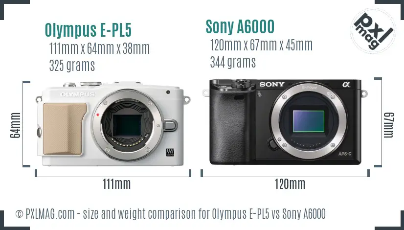 Olympus E-PL5 vs Sony A6000 size comparison