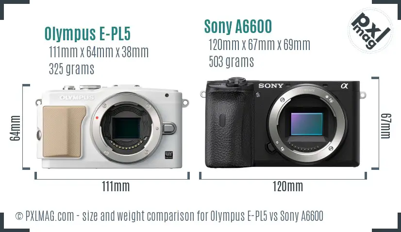 Olympus E-PL5 vs Sony A6600 size comparison
