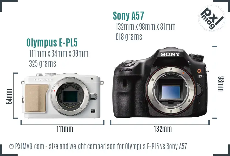 Olympus E-PL5 vs Sony A57 size comparison