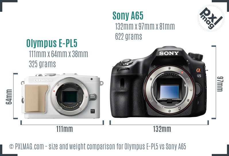 Olympus E-PL5 vs Sony A65 size comparison