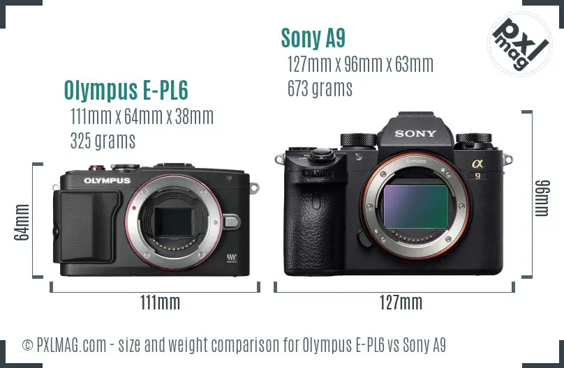 Olympus E-PL6 vs Sony A9 size comparison