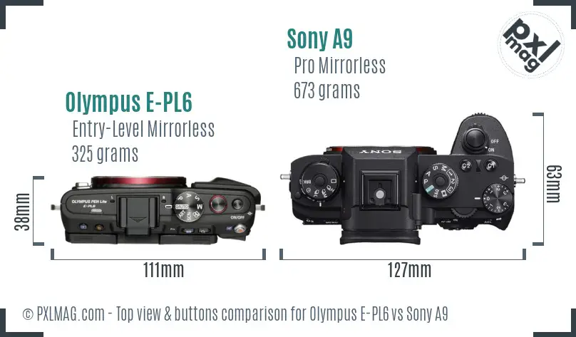 Olympus E-PL6 vs Sony A9 top view buttons comparison