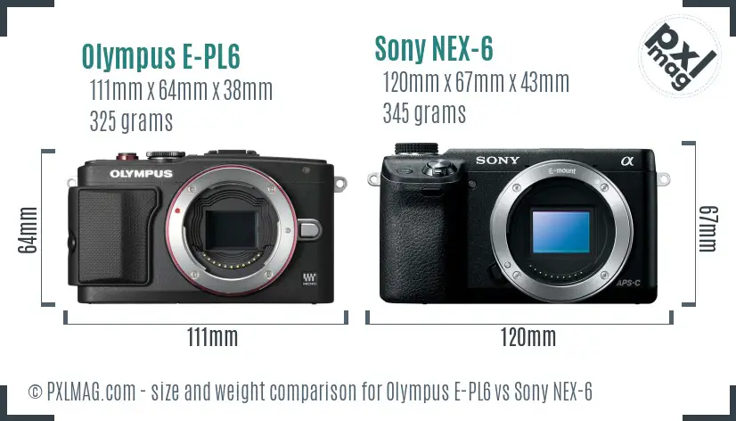 Olympus E-PL6 vs Sony NEX-6 size comparison