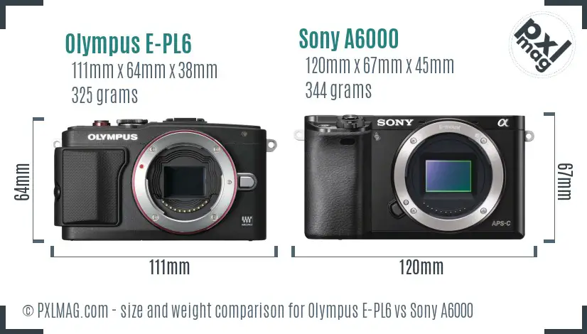 Olympus E-PL6 vs Sony A6000 size comparison