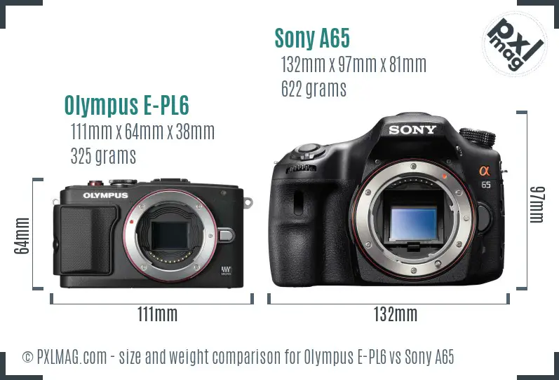 Olympus E-PL6 vs Sony A65 size comparison