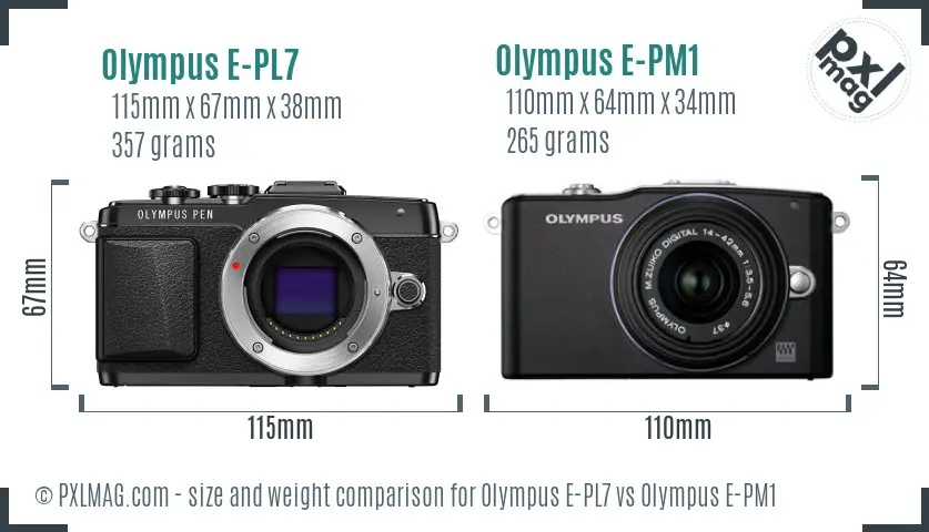 Olympus E-PL7 vs Olympus E-PM1 size comparison