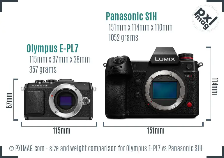 Olympus E-PL7 vs Panasonic S1H size comparison