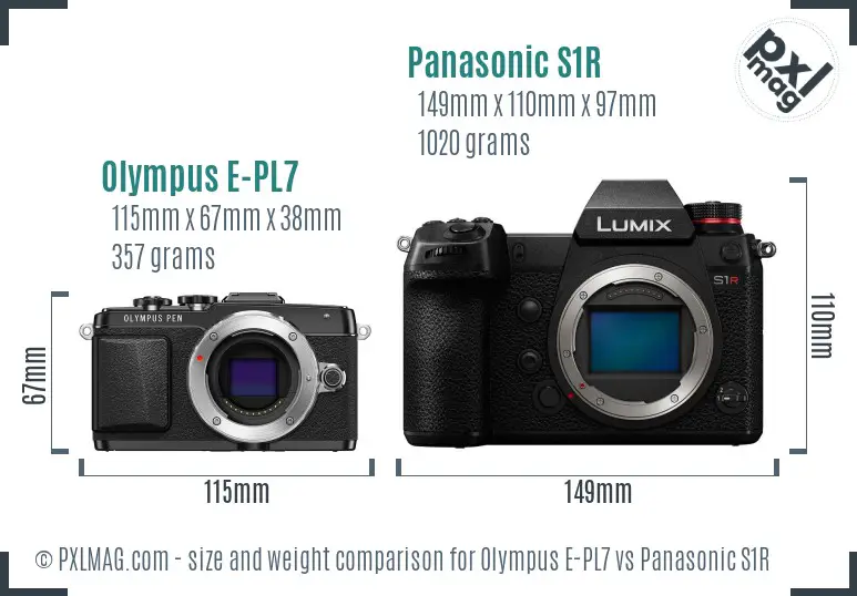 Olympus E-PL7 vs Panasonic S1R size comparison