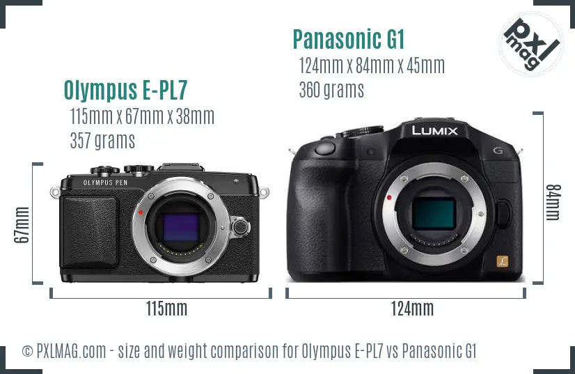 Olympus E-PL7 vs Panasonic G1 size comparison