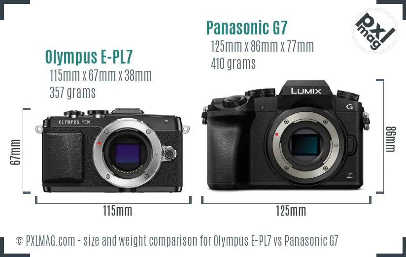 Olympus E-PL7 vs Panasonic G7 size comparison