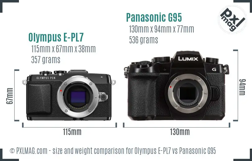 Olympus E-PL7 vs Panasonic G95 size comparison