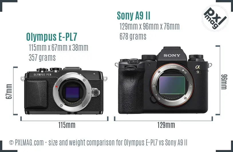 Olympus E-PL7 vs Sony A9 II size comparison