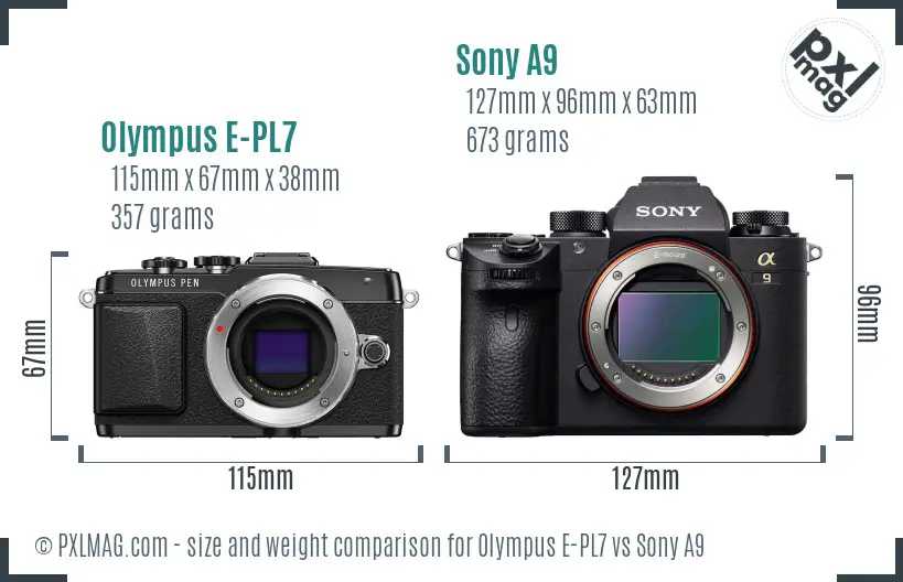 Olympus E-PL7 vs Sony A9 size comparison