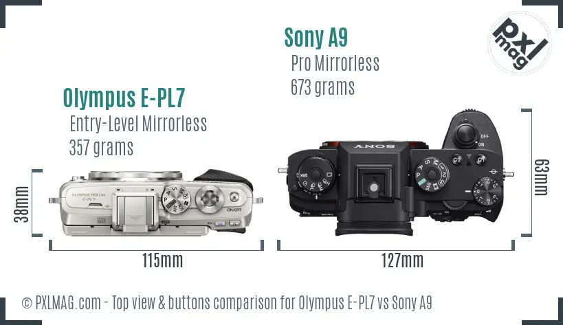 Olympus E-PL7 vs Sony A9 top view buttons comparison