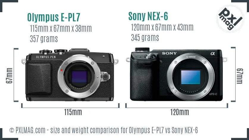 Olympus E-PL7 vs Sony NEX-6 size comparison
